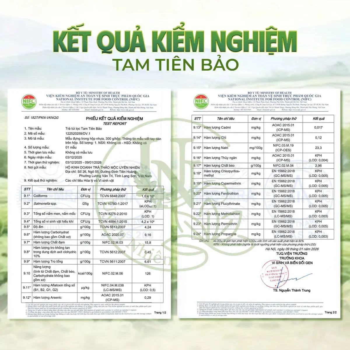 Trà Túi Lọc Thảo Mộc Tam Tiên Bảo Uyên Nhiên - 8 Vị Tự Nhiên Hương ÊM Dịu Hợp Buổi Tối - Hộp 30 Túi x 5g - Ảnh 9