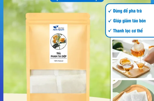 Phan tả diệp (trà túi lọc) - Hạnh Nguyên (Bịch 50 túi lọc)