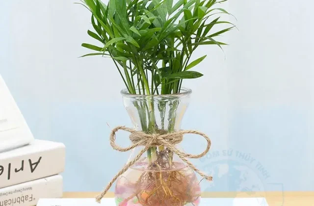 Combo 2 bình bông lọ hoa thủy tinh miệng loe - bình bông Tiên Ông - 2 bình thủy tinh trồng thủy canh, cắm hoa ông địa