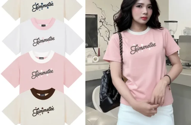 [Hàng Mới] Áo BabyTee Form Nữ - PHỐI VIỀN CỔ - Premium Cotton 250gsm 2 Chiều Cổ Tròn - Áo thun