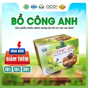 Trà Bồ Công Anh Hộp 30 Túi Lọc x 3Gram Siêu Thị Thiên Nhiên - Nước Trà - Tea trà gc thảo mộc Chè Chua nướcuống đẹp