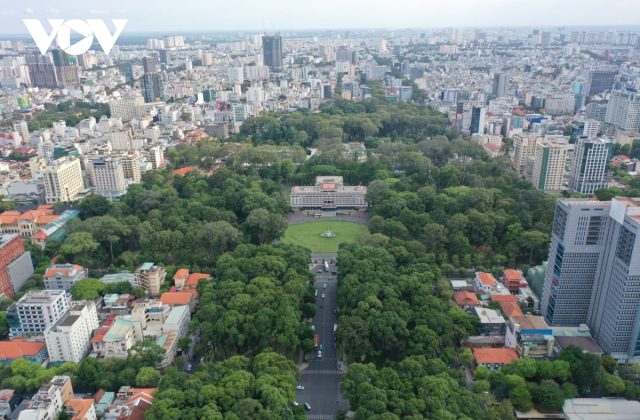 Nỗi lo cổ thụ gãy đổ đe dọa người đi đường tại trung tâm TP HCM